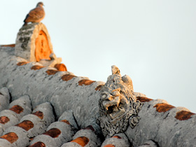 Shisa on the roof